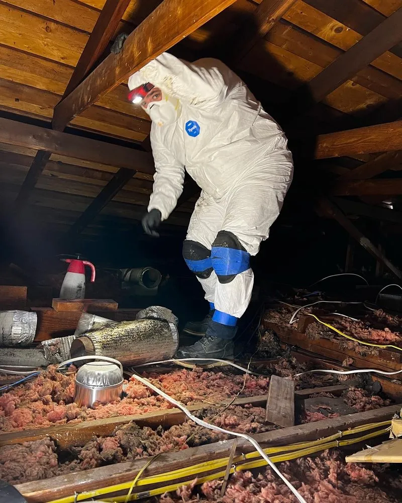 Slide of Bacs Ac Services