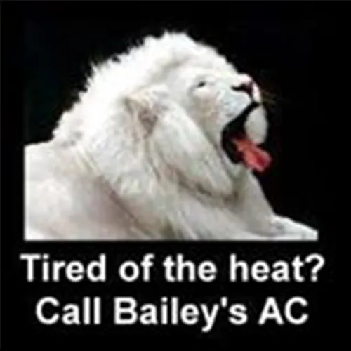 Slide of Bailey's A/C Appliance Repair Service