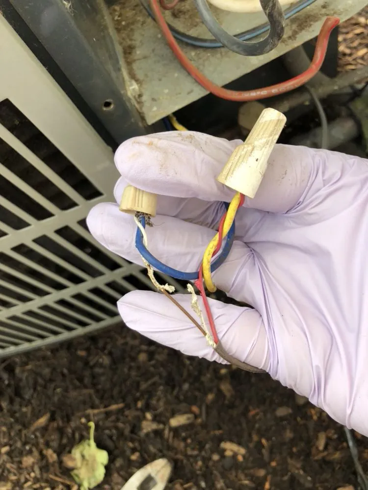 Slide of Baldinelli Refrigeration