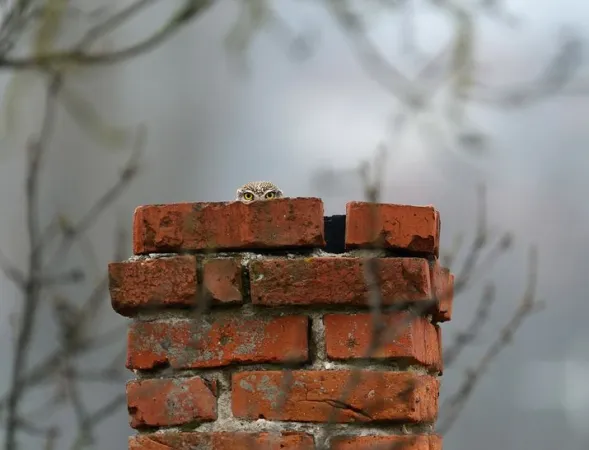 Slide of Baltimore Heating & Cooling