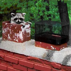 Slide of Baltimore Heating & Cooling