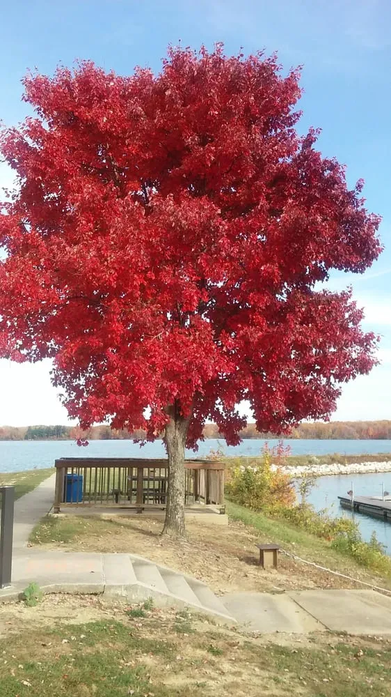 Slide of Bart Fey HVAC and Waterproofing