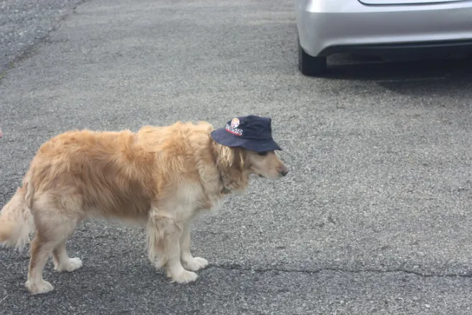 Slide of Basic REFGN Heat & AC