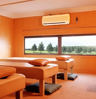 Slide of Baumgardner's Mechanical