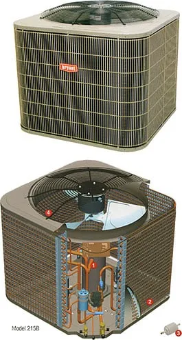 Slide of Baumgardner's Mechanical