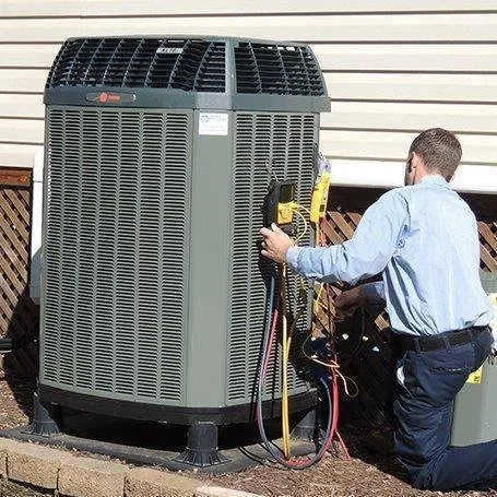 Slide of Bay Harbor Services