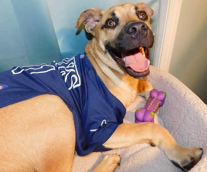 Slide of Bayside Heating & Air Conditioning