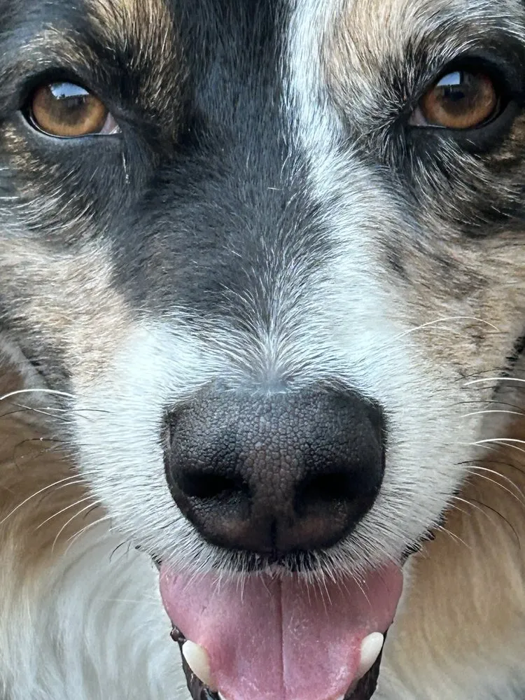 Slide of B.C. Mechanical Heating & AC