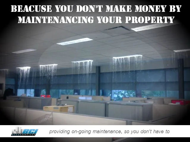 Slide of BCI Services