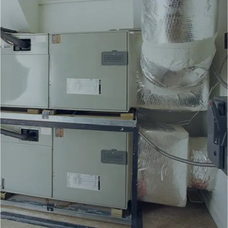 Slide of Bear Ace Mechanical