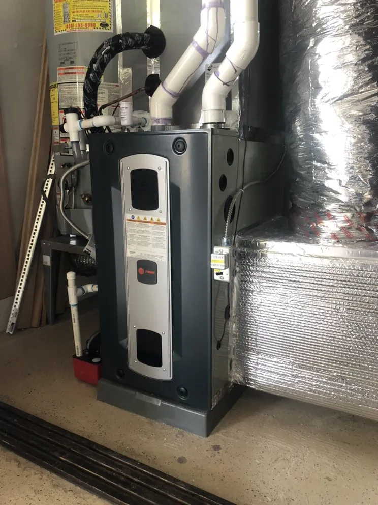 Slide of Bear Mechanical