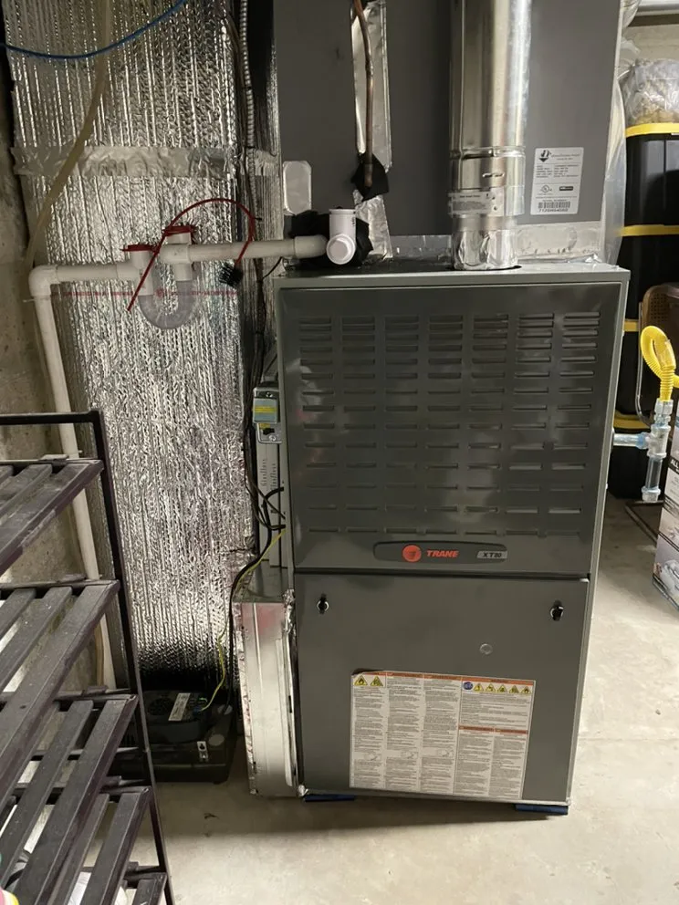 Slide of Bear Mechanical