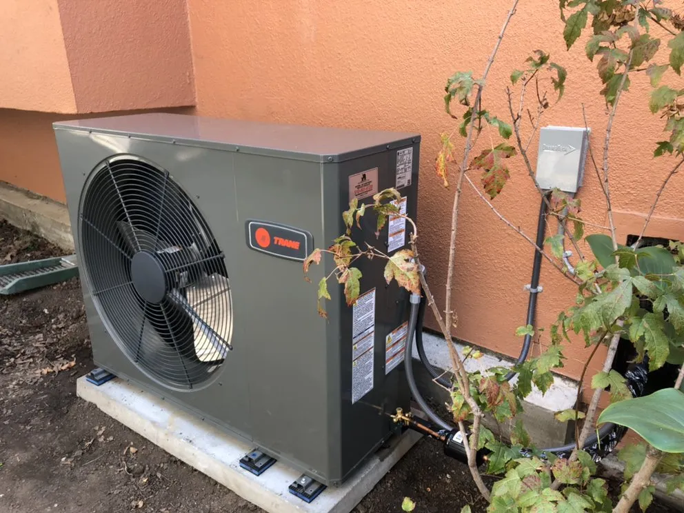 Slide of Bear Mechanical