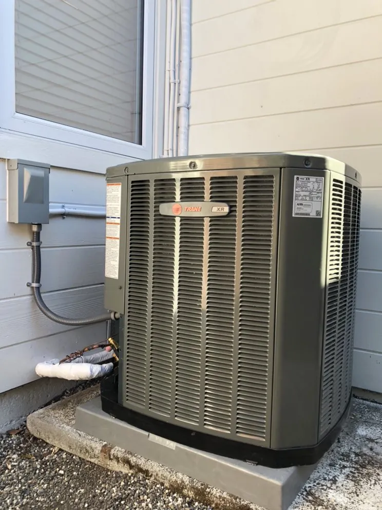 Slide of Bear Mechanical