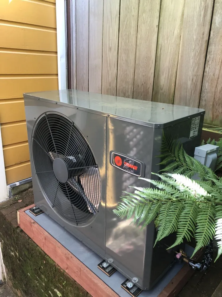 Slide of Bear Mechanical