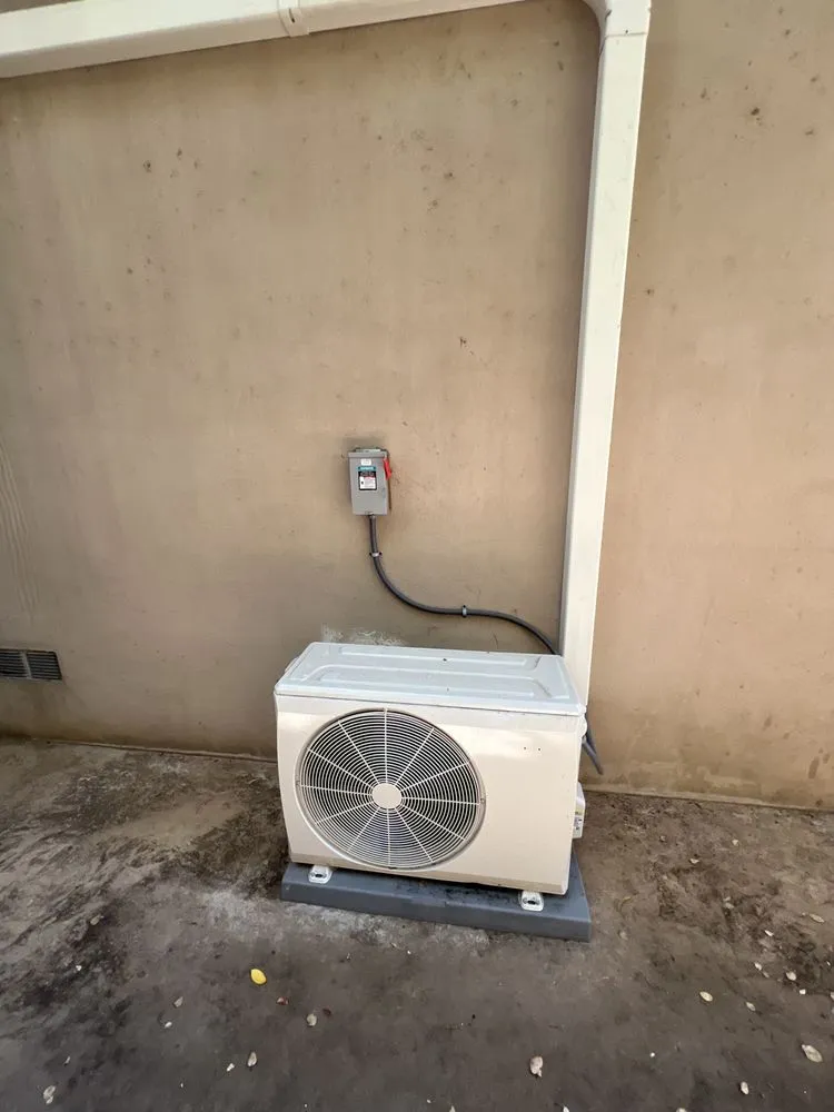 Slide of Bear Mechanical