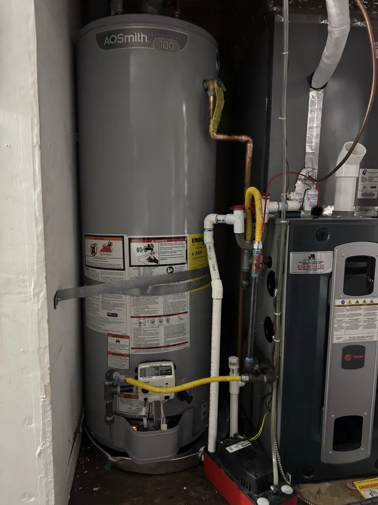 Slide of Bear Mechanical