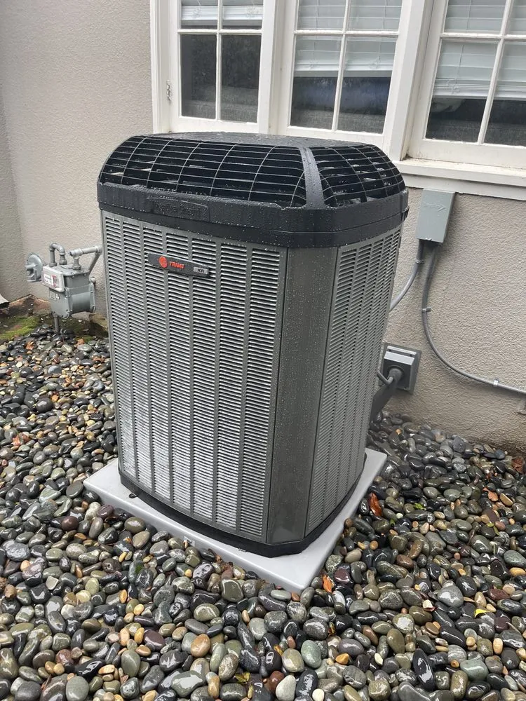 Slide of Bear Mechanical