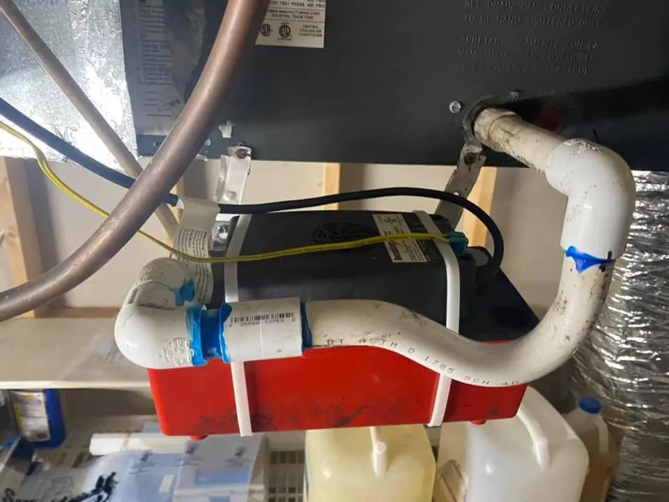 Slide of Beard Brothers