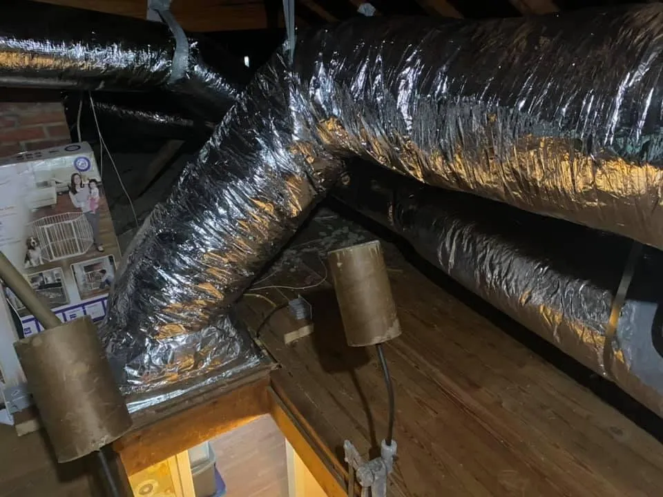 Slide of Beard Brothers