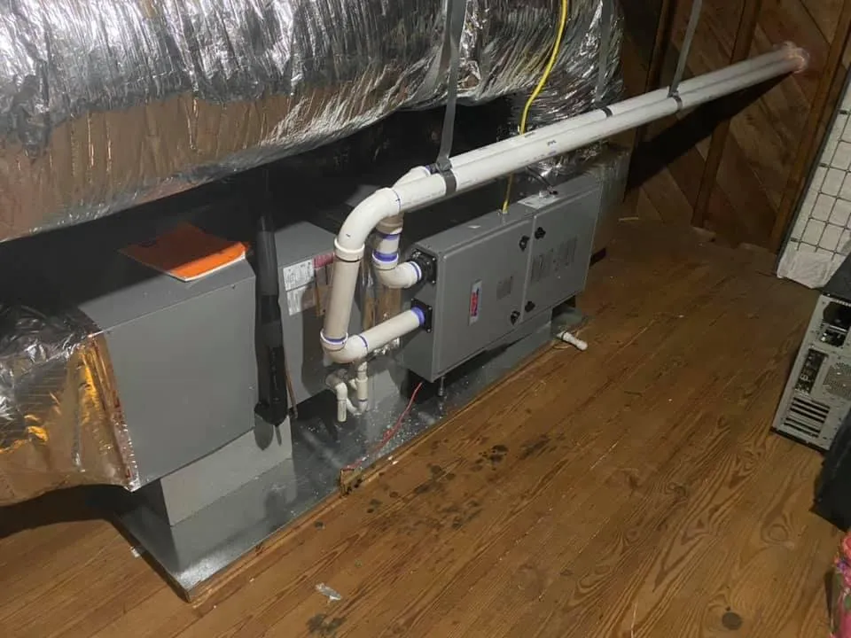 Slide of Beard Brothers