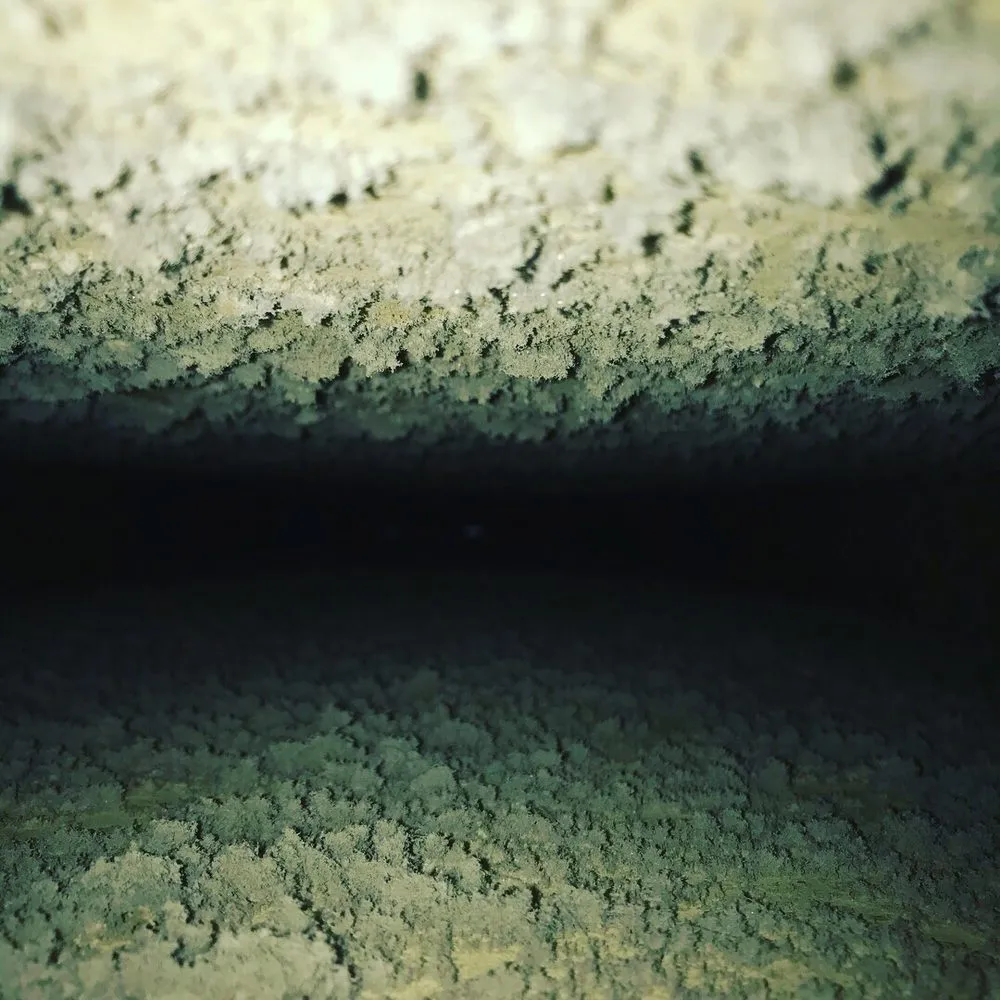 Slide of BeardedHvac