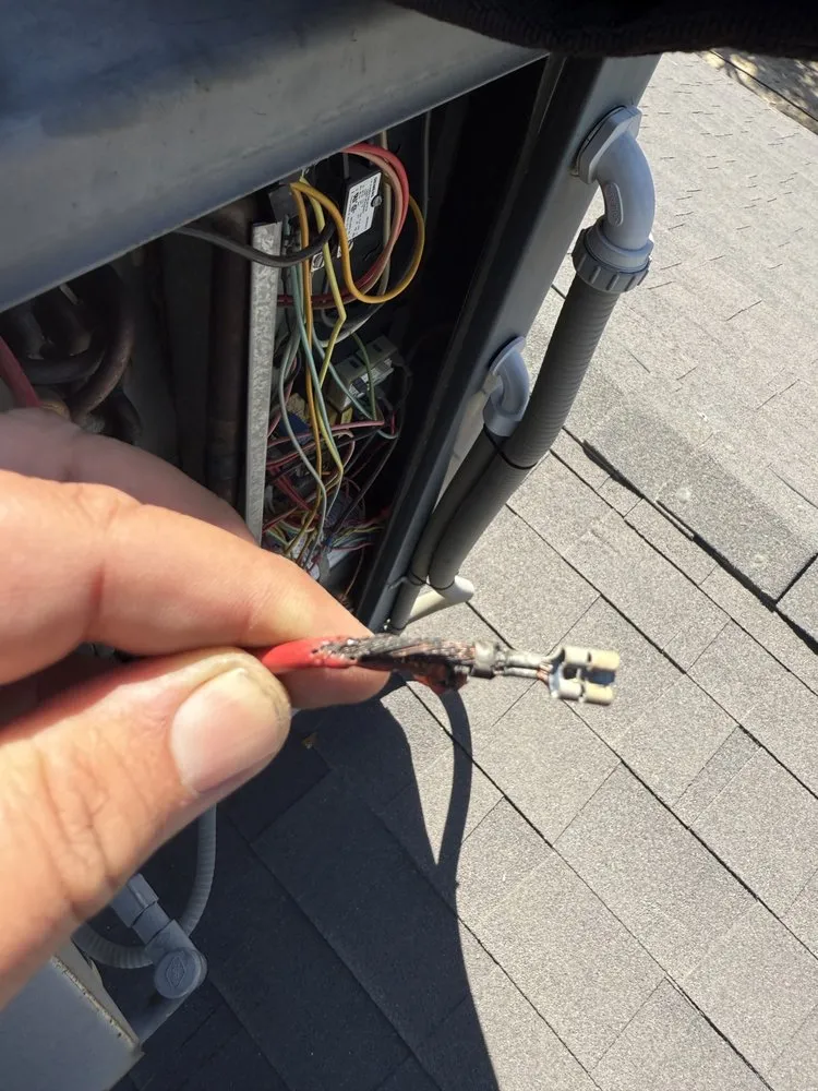 Slide of Beary Good Heating and Cooling