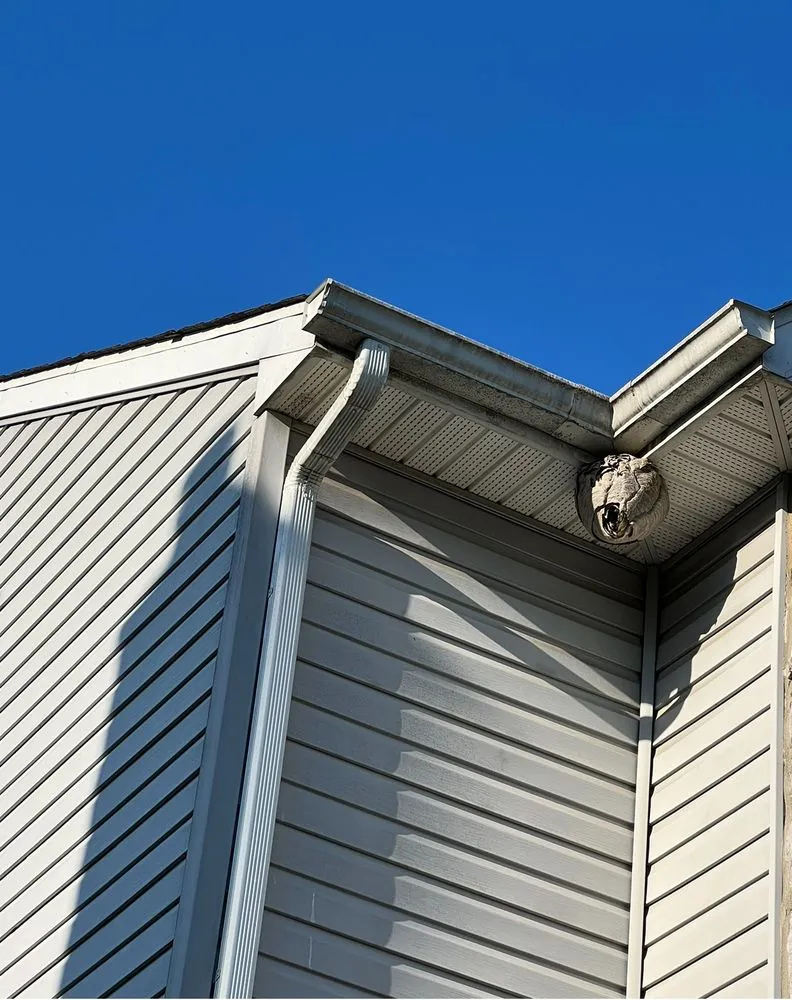 Slide of Bed Bug & Pest Removal