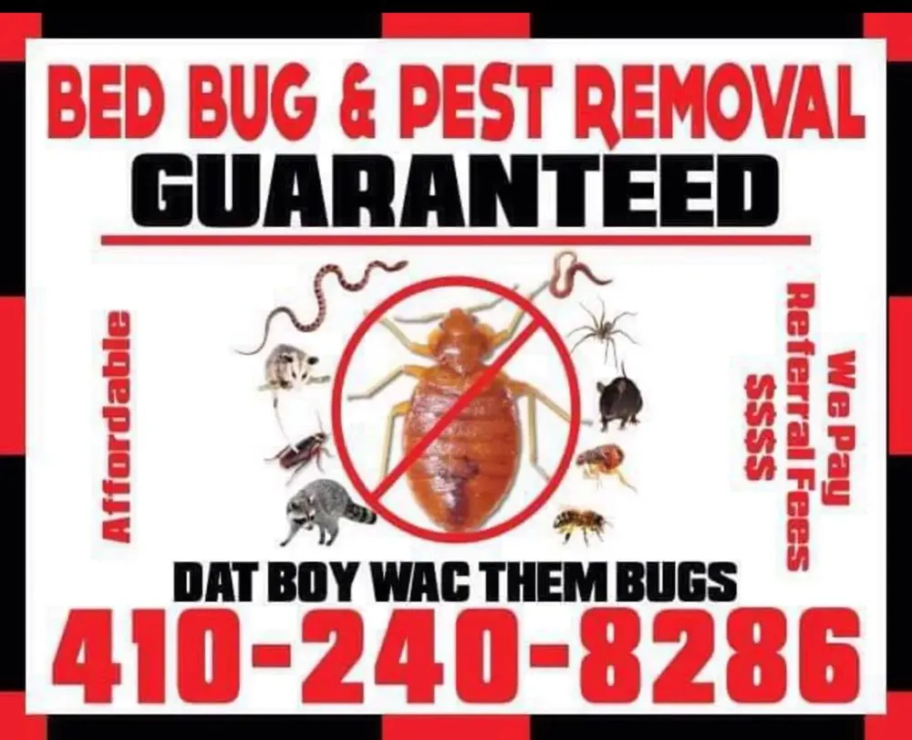 Slide of Bed Bug & Pest Removal