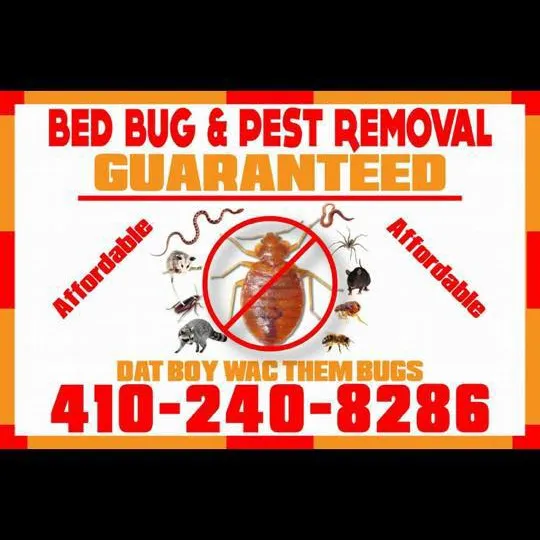 Slide of Bed Bug & Pest Removal