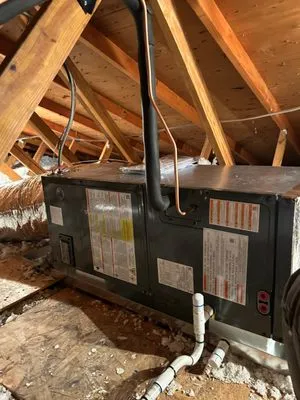 Bee Kind Plumbing, Heating, Cooling, Electrical Logo