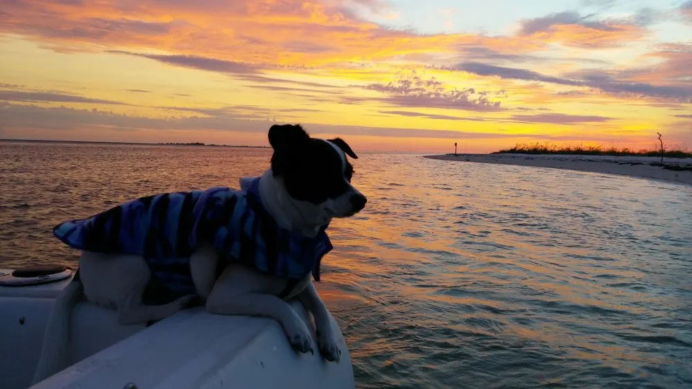 Slide of Bee Line Cooling & Heating