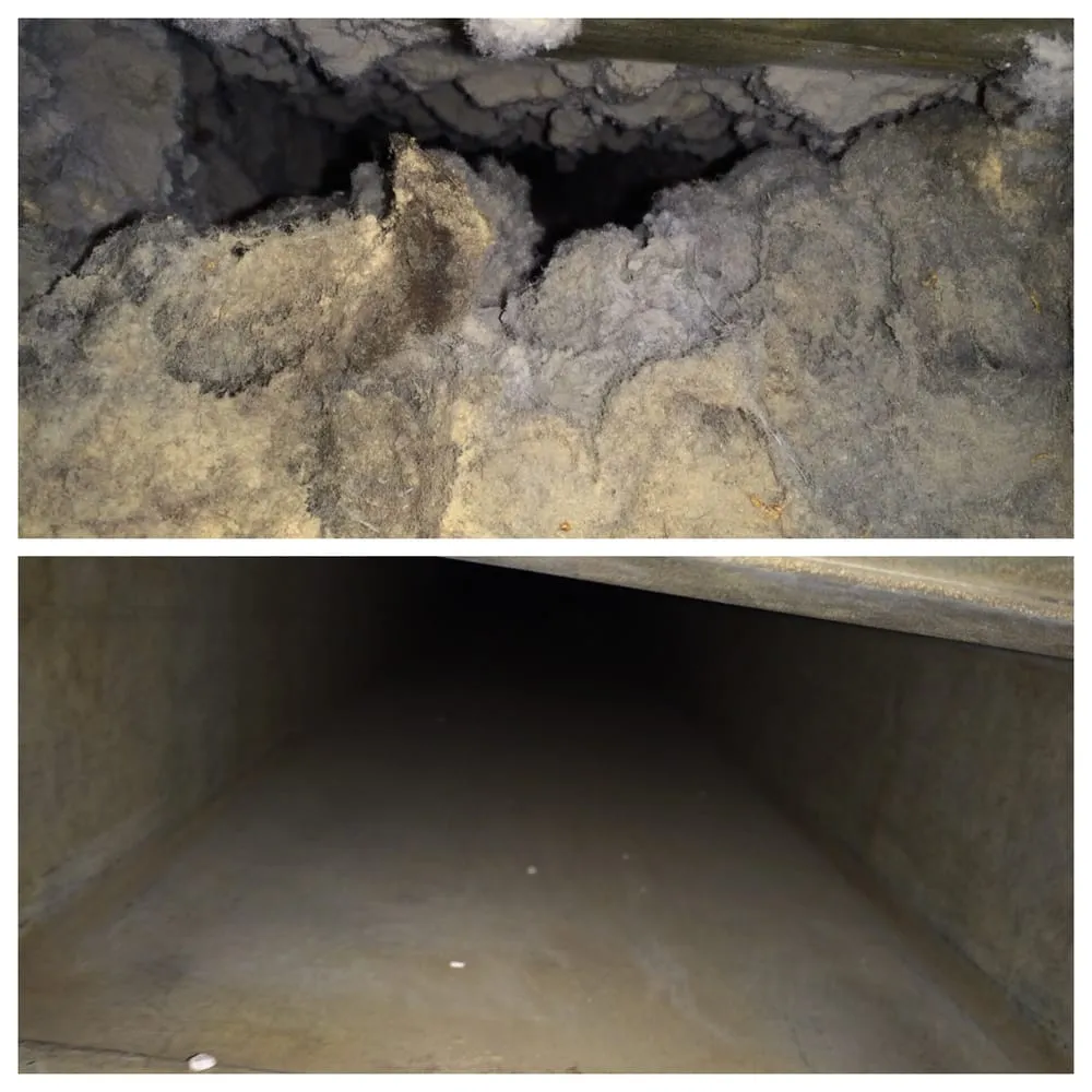 Slide of Before & After Air Care