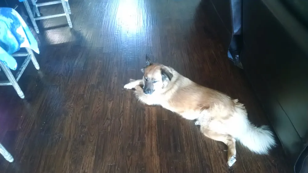 Slide of Bella Heat And Air