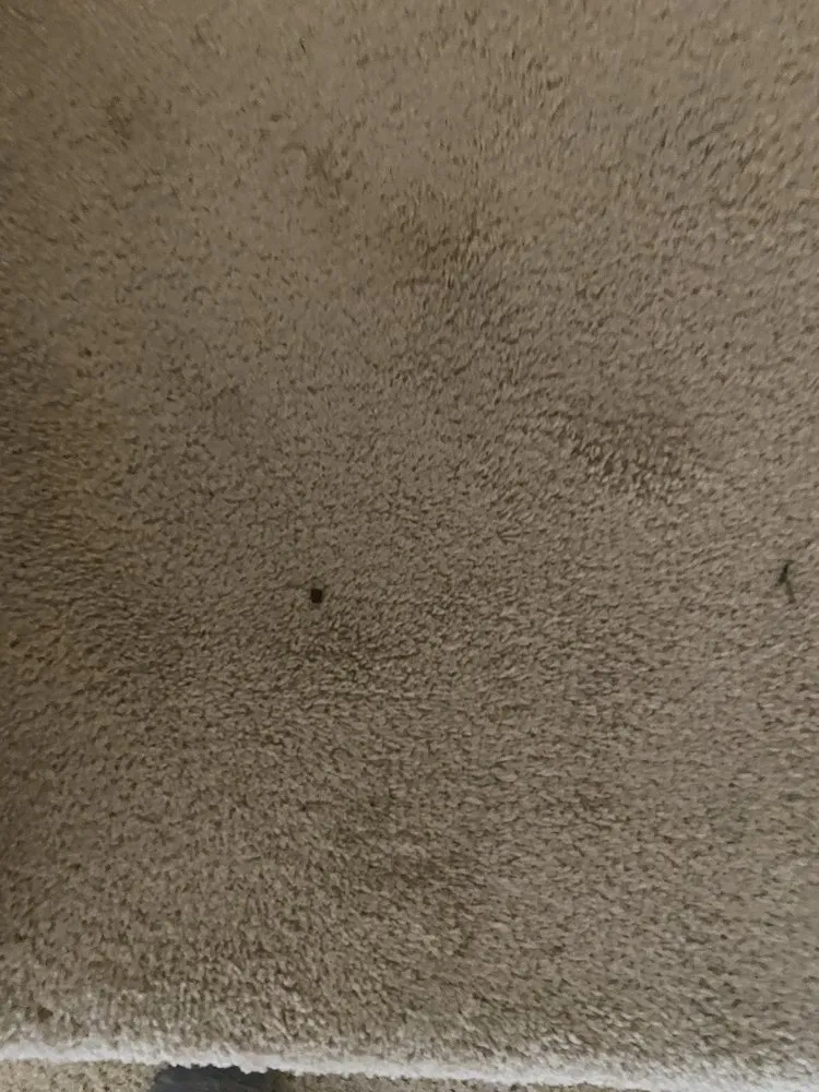 Slide of Bella Heat And Air