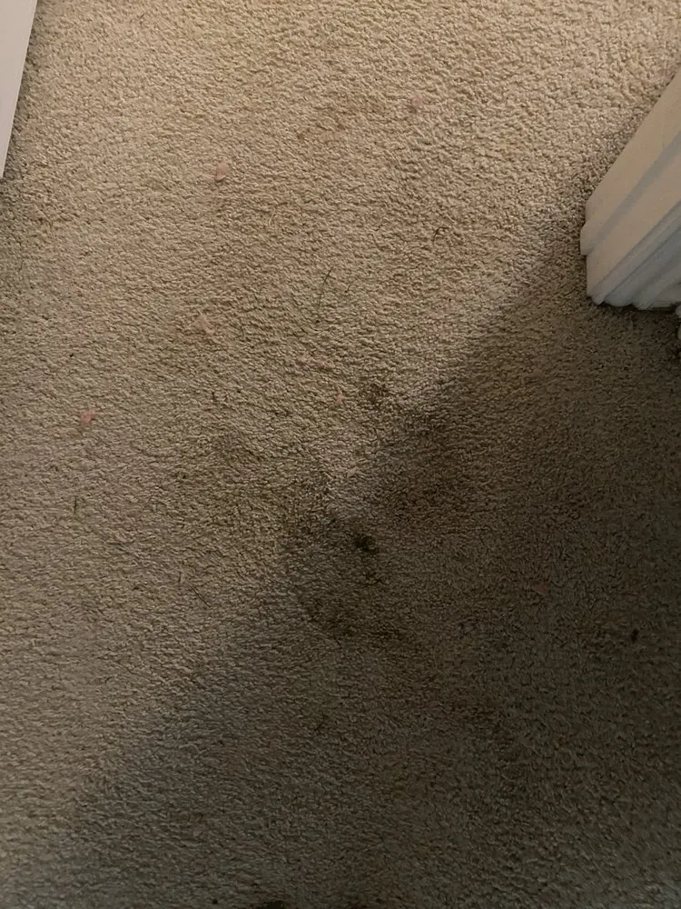 Slide of Bella Heat And Air