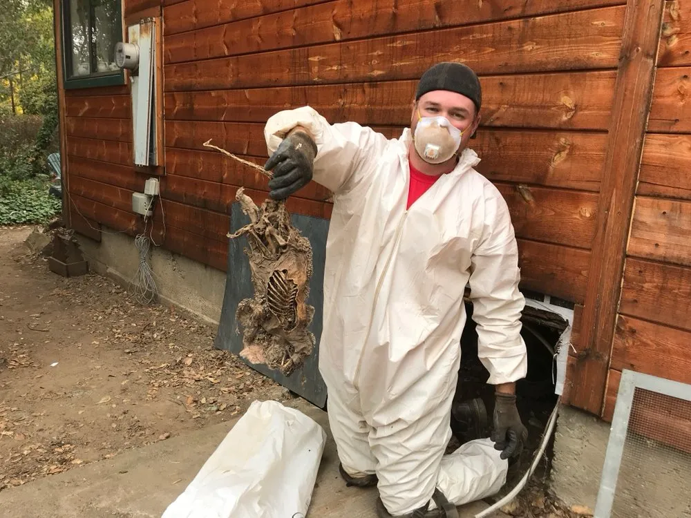 Slide of Belle Air Systems