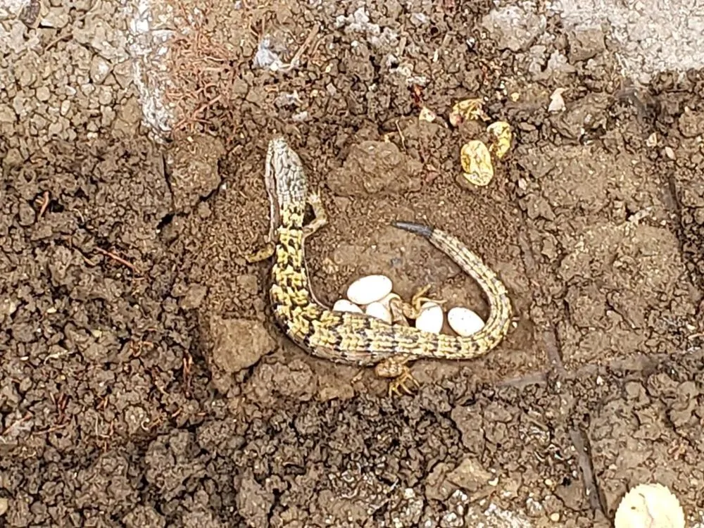 Slide of Ben-Air Heating & Air Conditioning