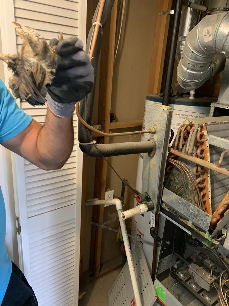 Slide of Ben Henry Heating And Air Conditioning