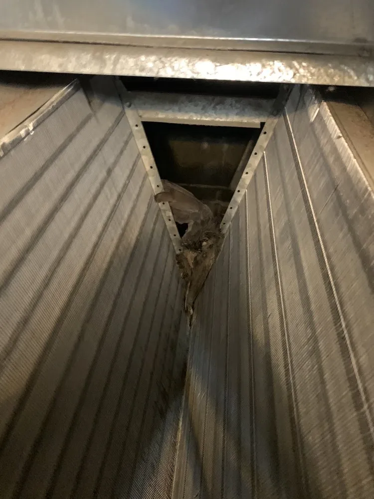 Slide of Ben Henry Heating And Air Conditioning