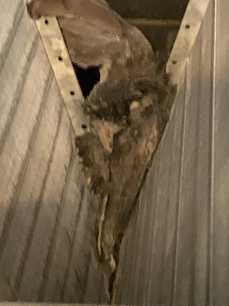 Slide of Ben Henry Heating And Air Conditioning