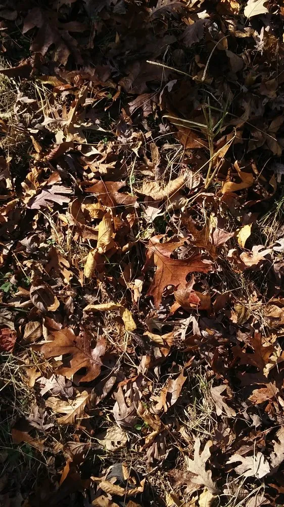 Slide of Ben Mccallie Construction