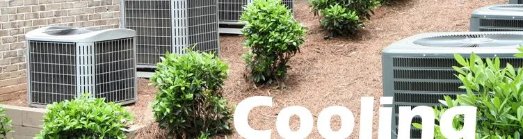 Slide of Benitz Service