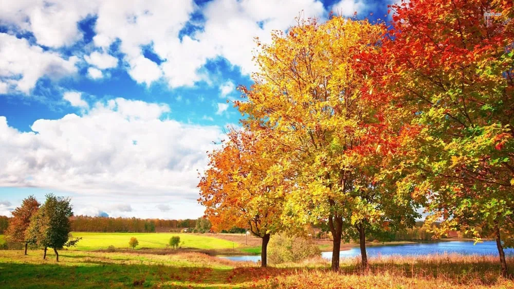 Slide of Bennett's Heating and Cooling