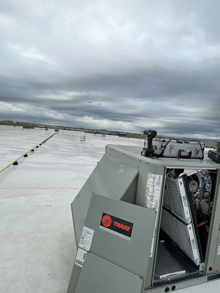 Slide of Benny Dough