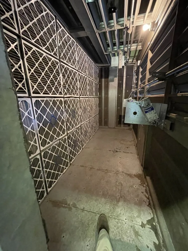 Slide of Benny Dough