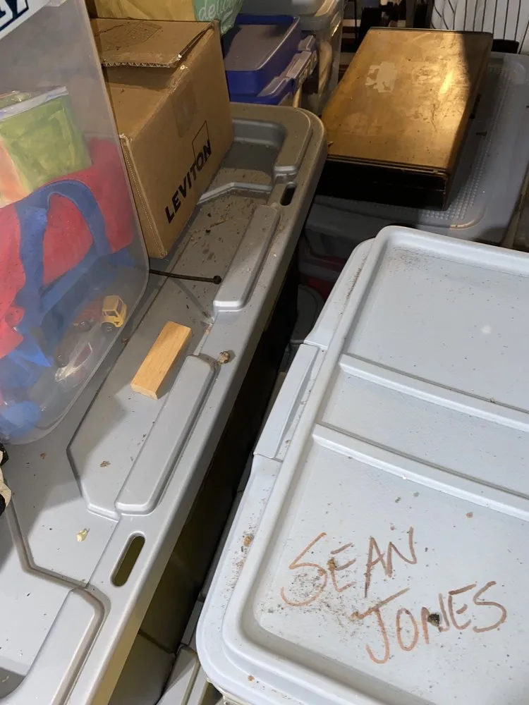 Slide of Ben's ProServ