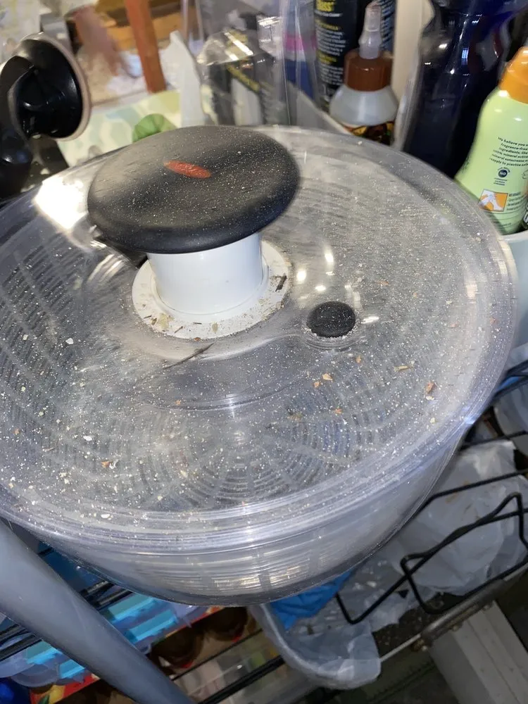 Slide of Ben's ProServ