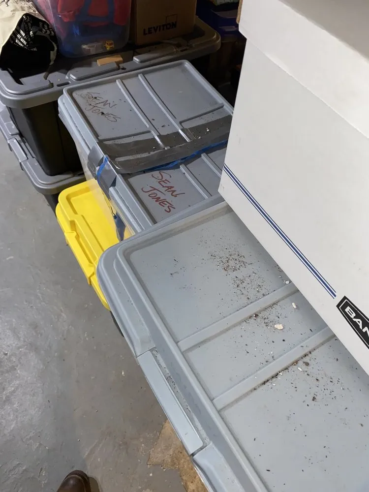 Slide of Ben's ProServ