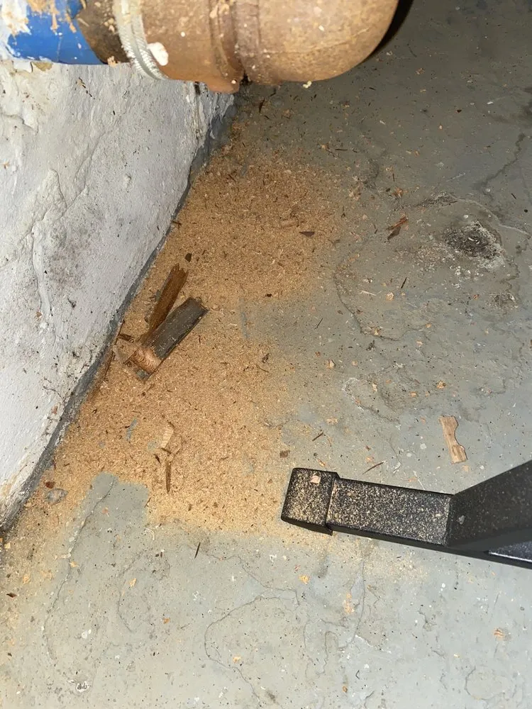 Slide of Ben's ProServ